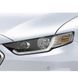 Захист фар Lexus RX 2003 - 2009 EGR 239090 239090 фото 8