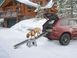 Легкий пандус для домашніх тварин WeatherTech 8A1EZRAMP 8A1EZRAMP фото 2