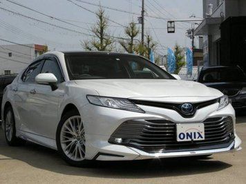 Deflectoare de ferestre Toyota Camry 2018 + EGR 92492078B